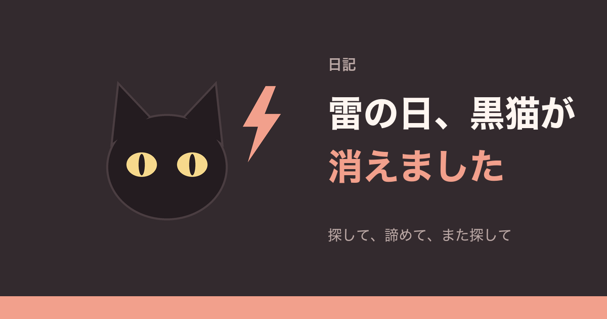 雷の日、黒猫が消えました。探して、諦めて、また探して
